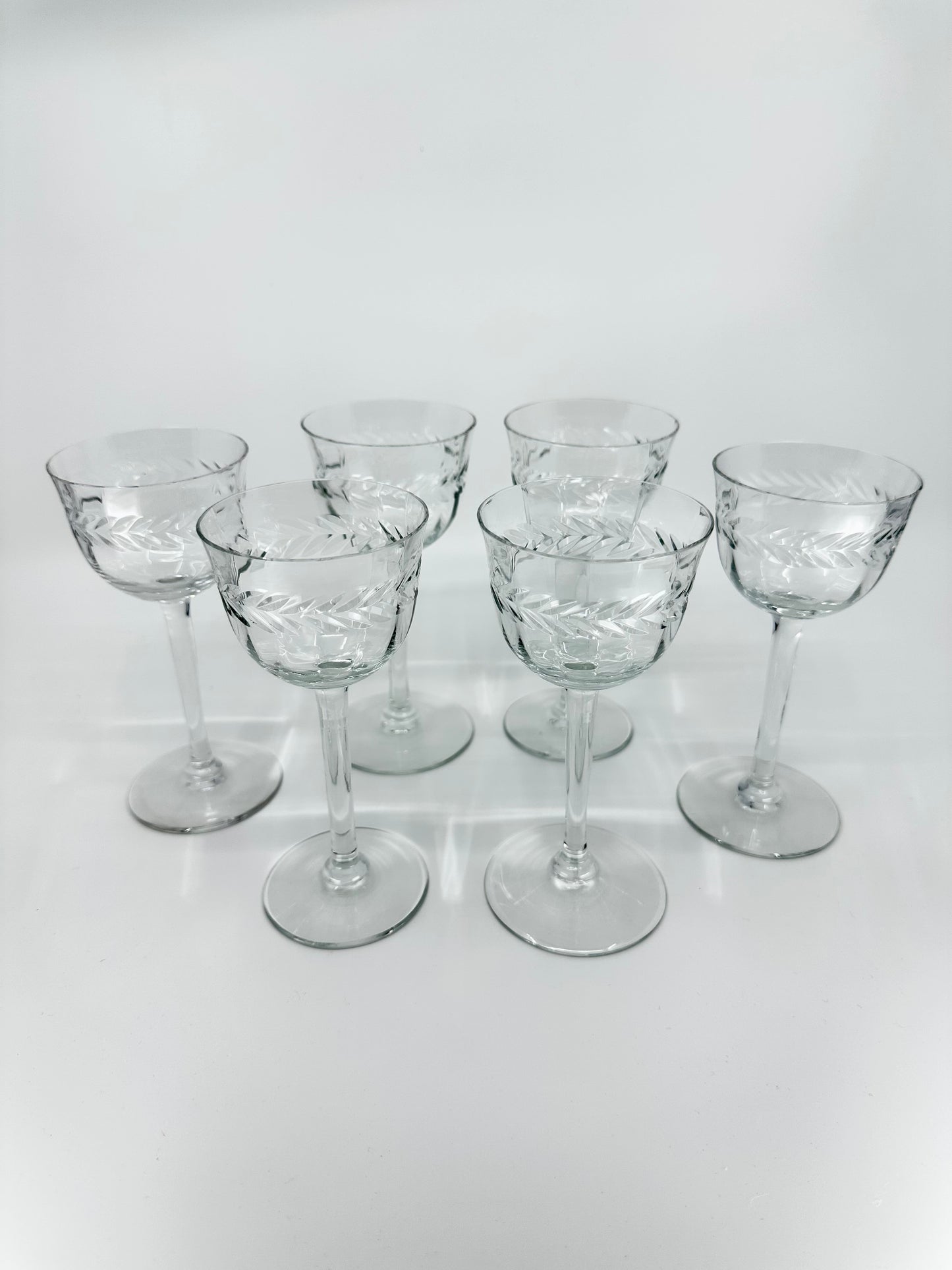 Laurel Tall Wreath Cordial Glasses (Set of 5+1)
