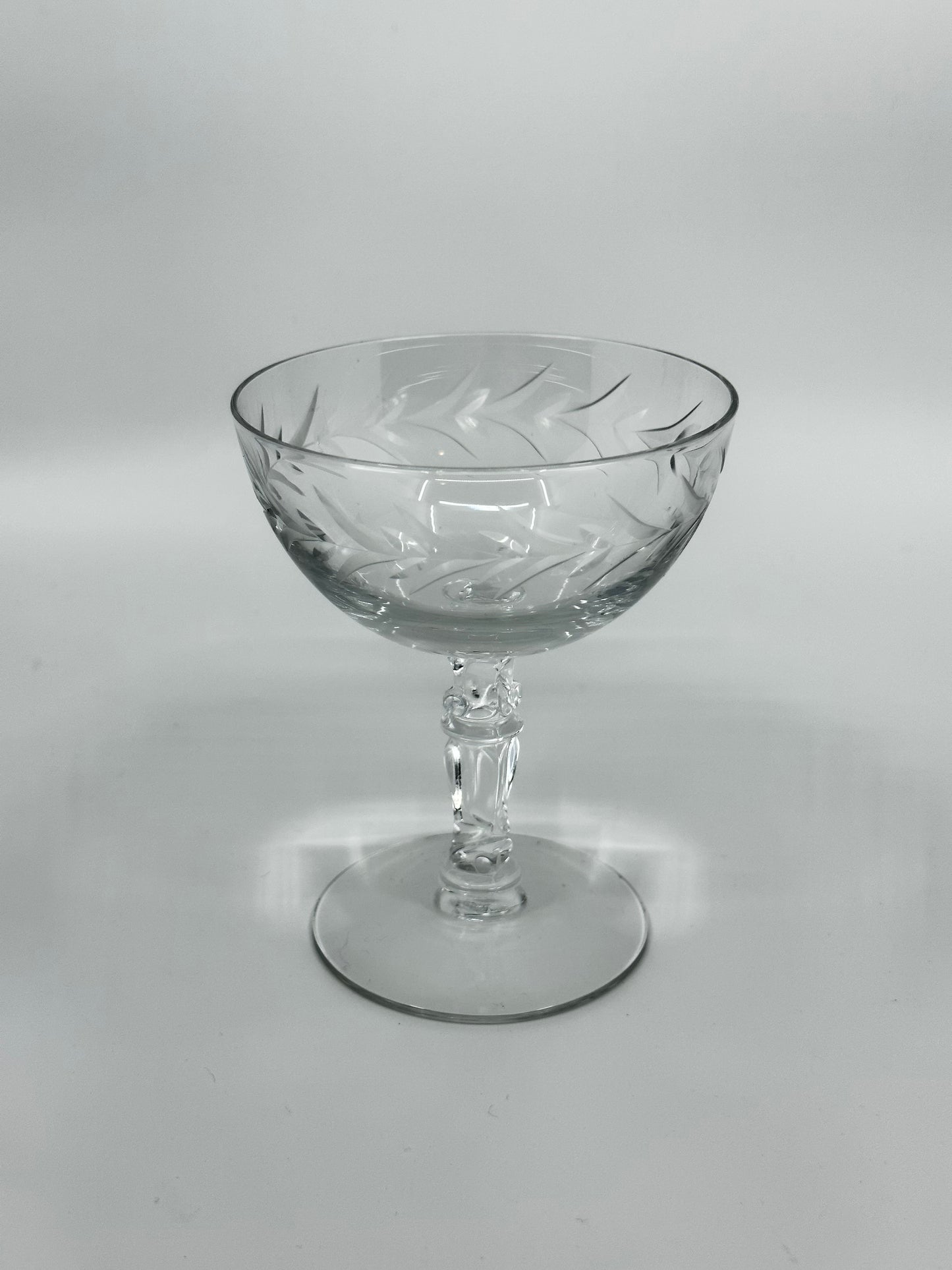 Rosemary Etched Coupe Glasses (set of 4)